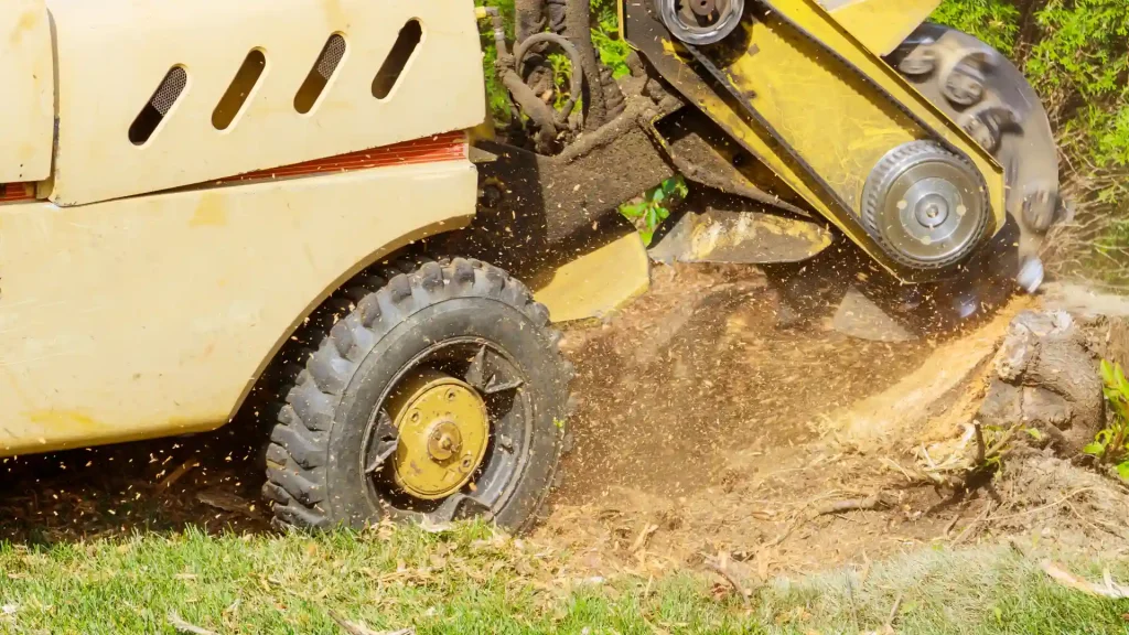 Axel tree services Yonkers NY-40-stump removal 2