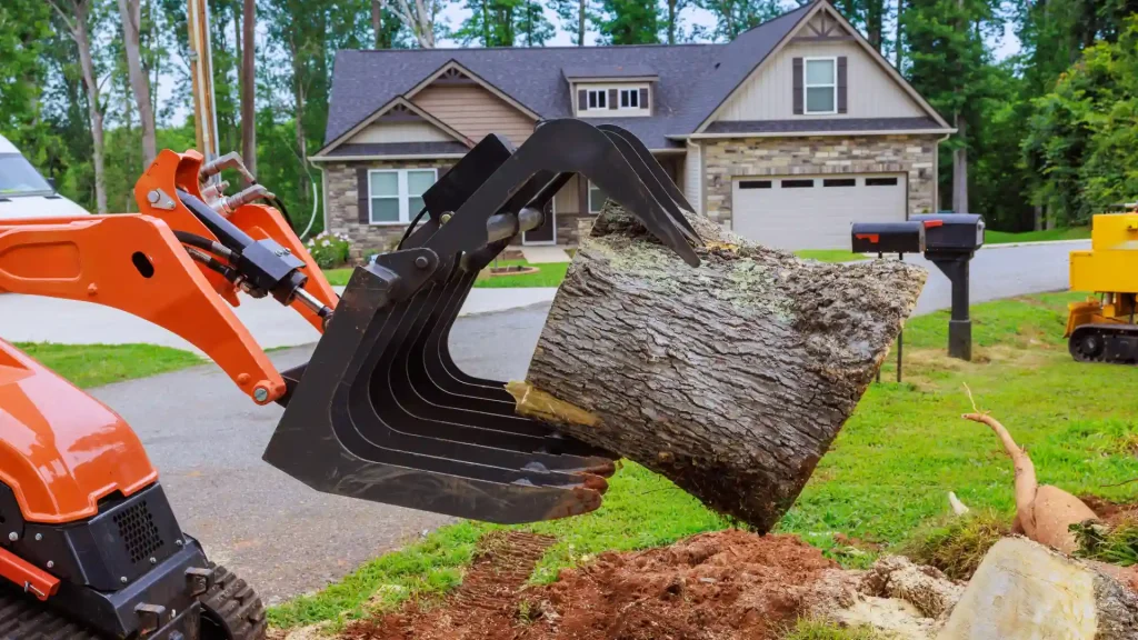 Axel tree services Yonkers NY-44-stump removal 6