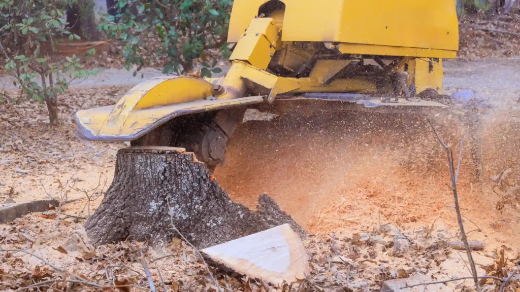 Axel tree services Yonkers NY-45-stump removal 7