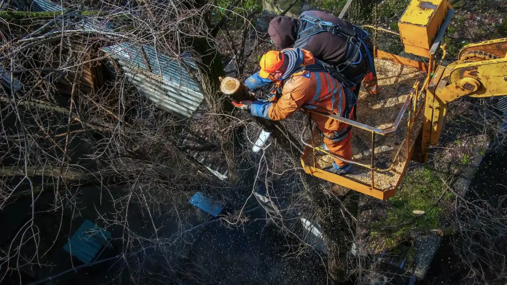 Axel tree services Yonkers NY-5-emergency tree service 2