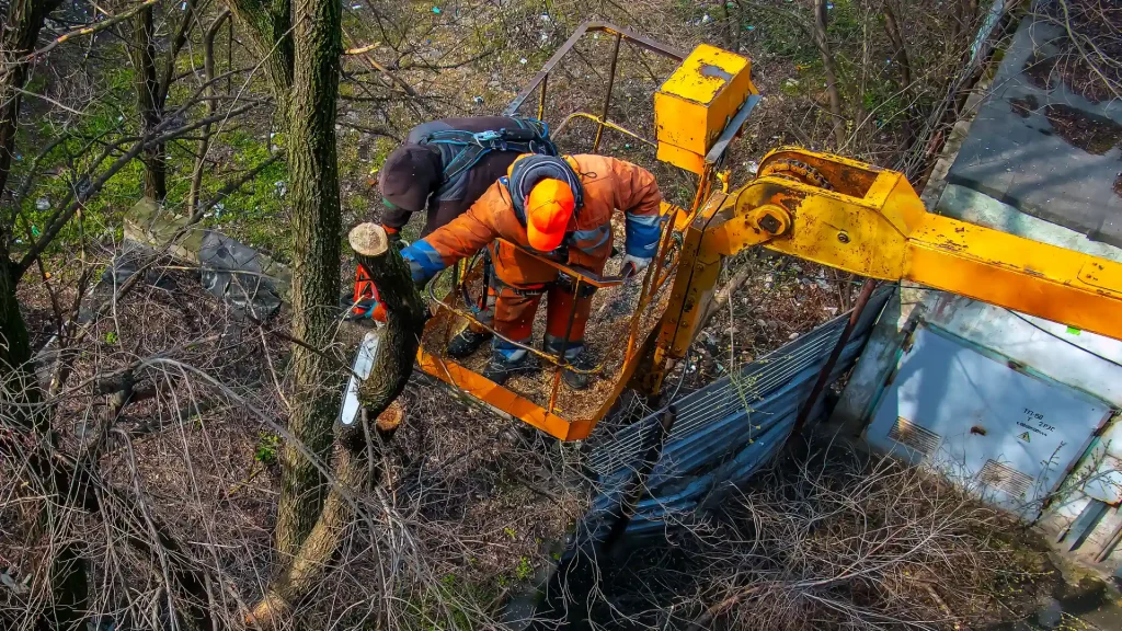 Axel tree services Yonkers NY-9-emergency tree service 6